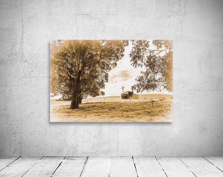 Old farmstead shack Wall Preview