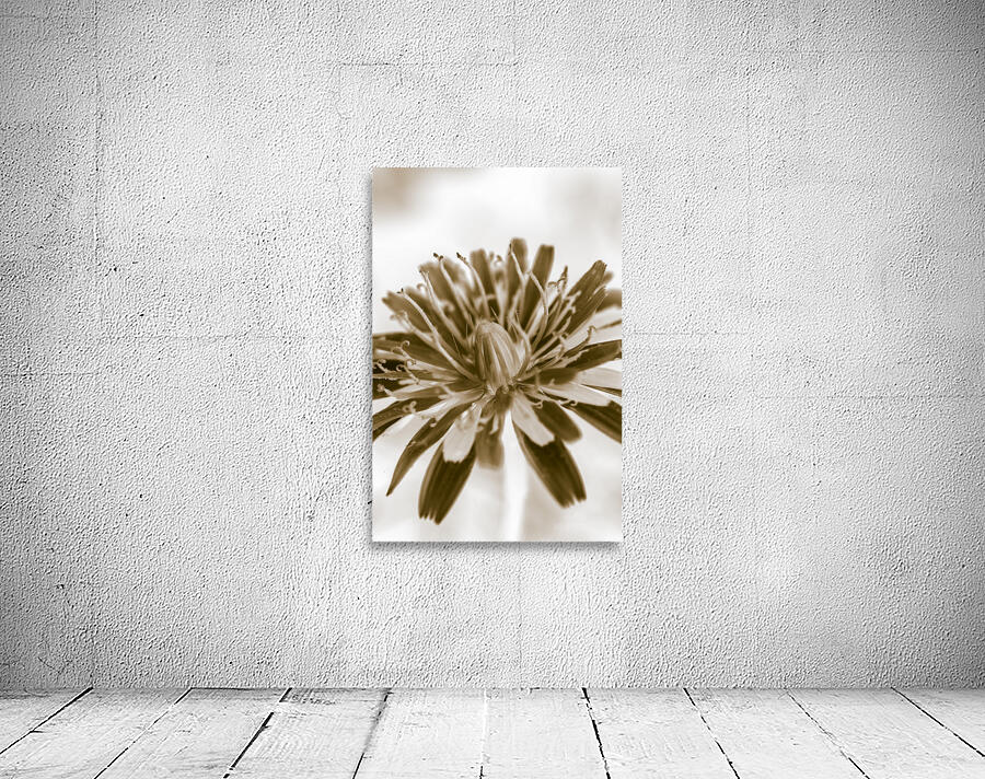 Beige n bloom Wall Preview