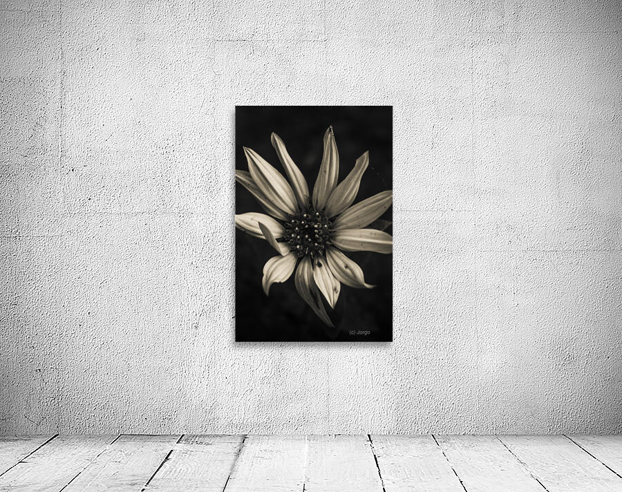 Floral elegance Wall Preview