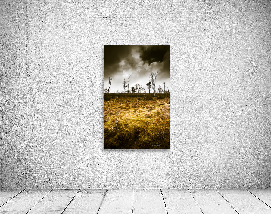 Beauty and barren bushland Wall Preview