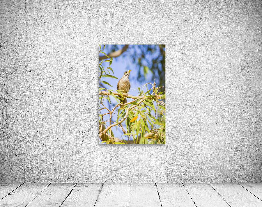 Noisy Minor Wall Preview