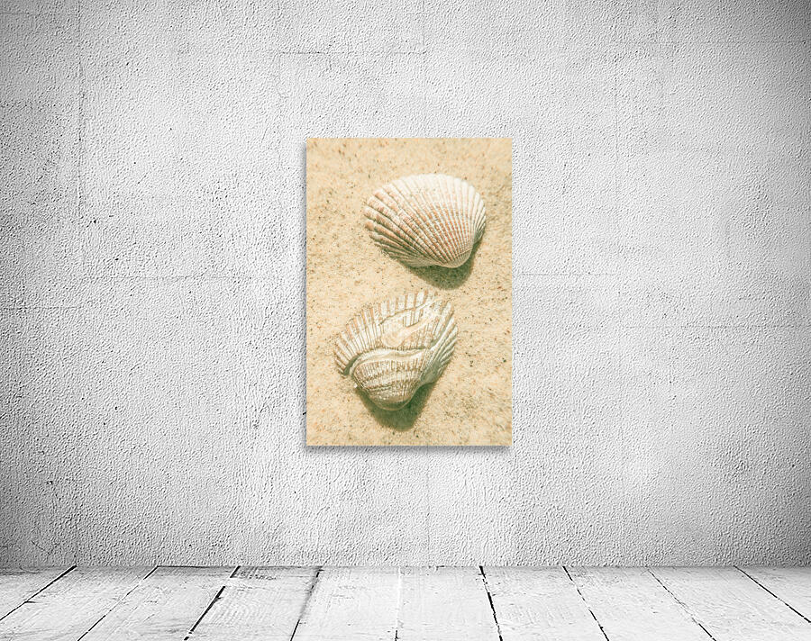 Pastel pacific Wall Preview