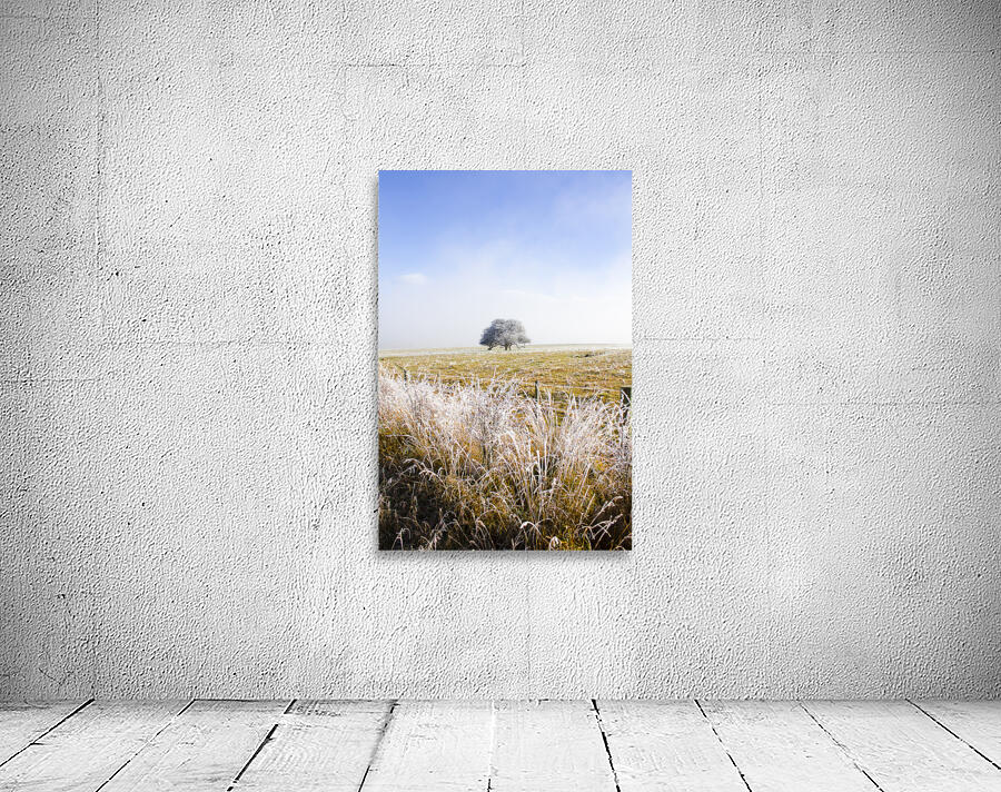 Fairytale winter in Fingal Wall Preview