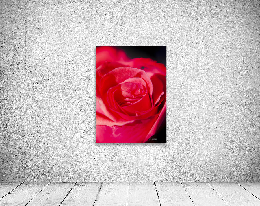 Intimate details Wall Preview