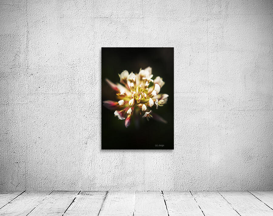 Wild darkness Wall Preview