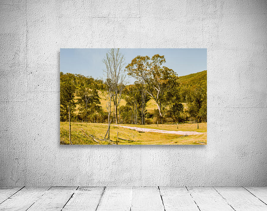 Bucolic backroads Wall Preview