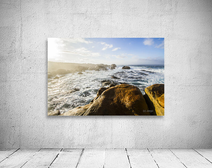 Pristine Tasmanian coast Wall Preview