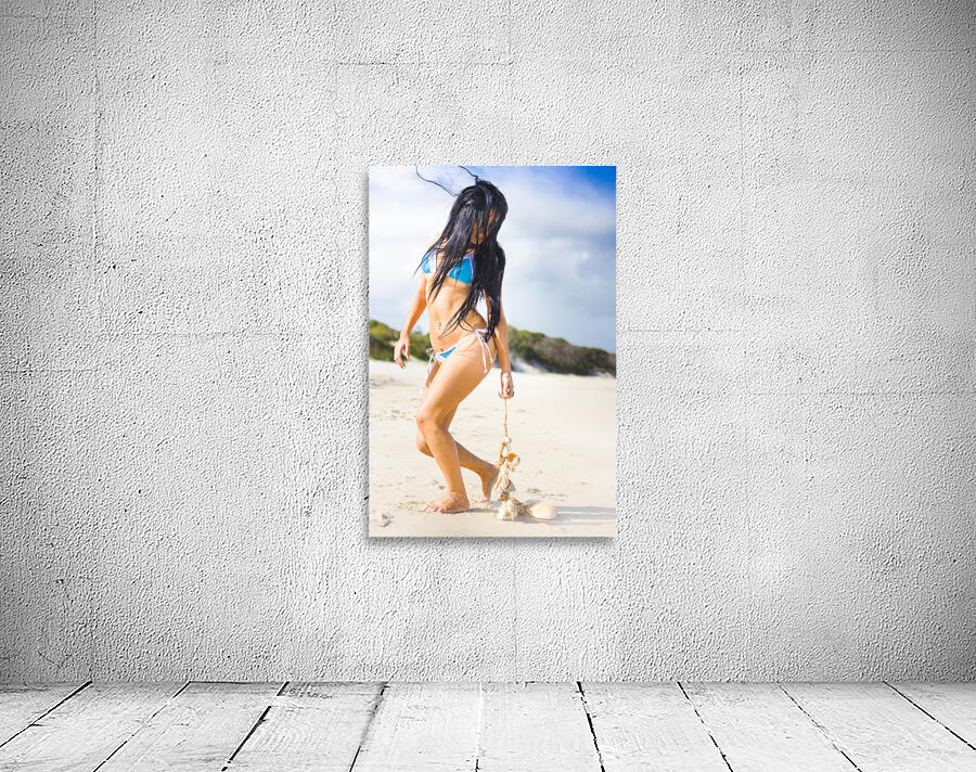 Beach Dreams Wall Preview