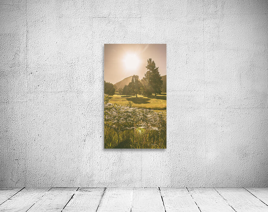 Fields of springtime Wall Preview