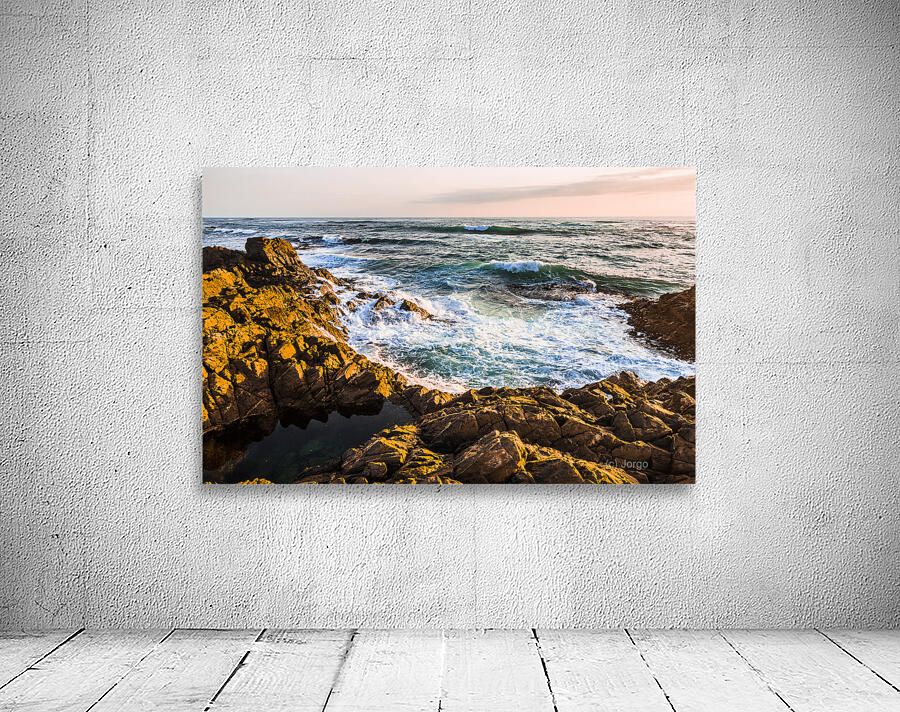 Splash of colour Wall Preview