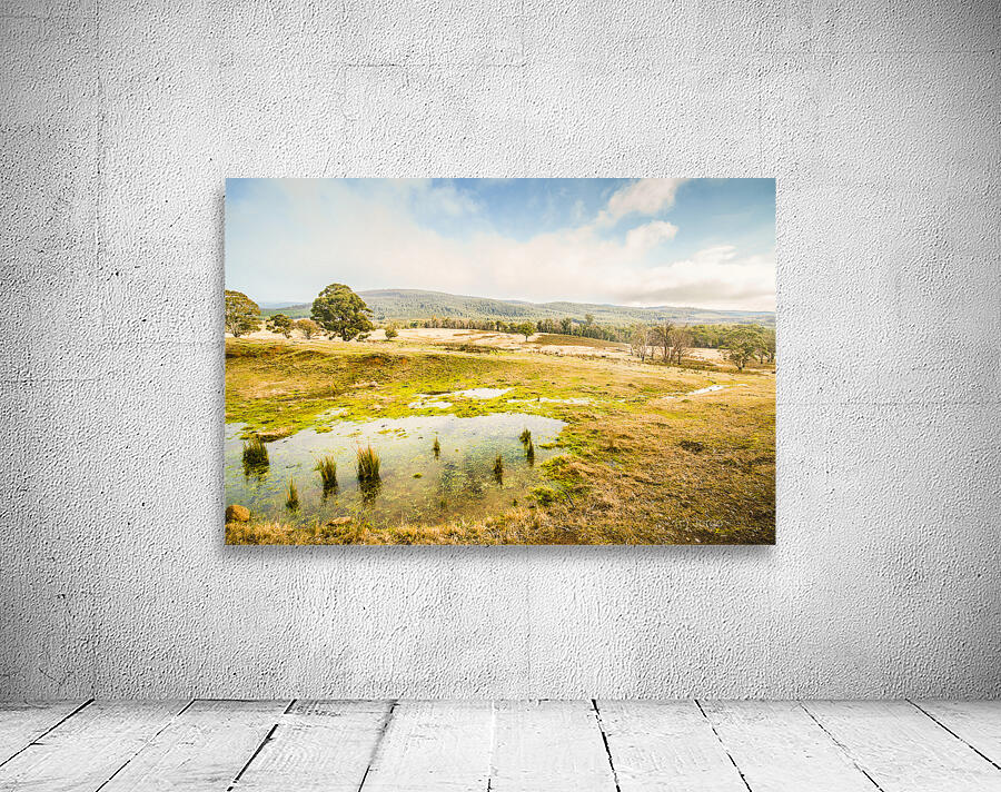 Ellendale Tasmania Background Wall Preview
