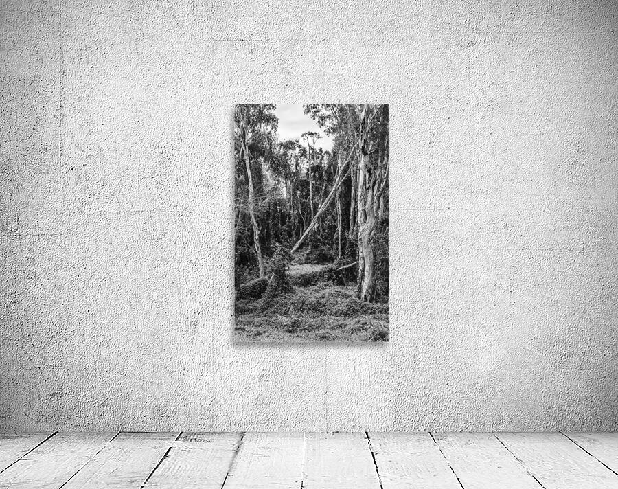 Vintage Outbacks Wall Preview