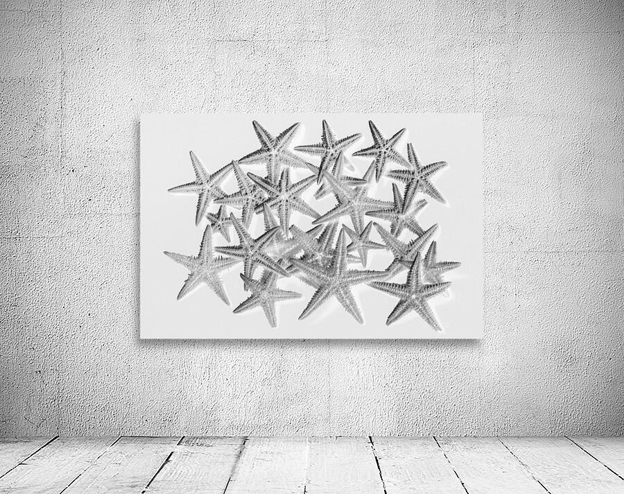 Sea staring Wall Preview