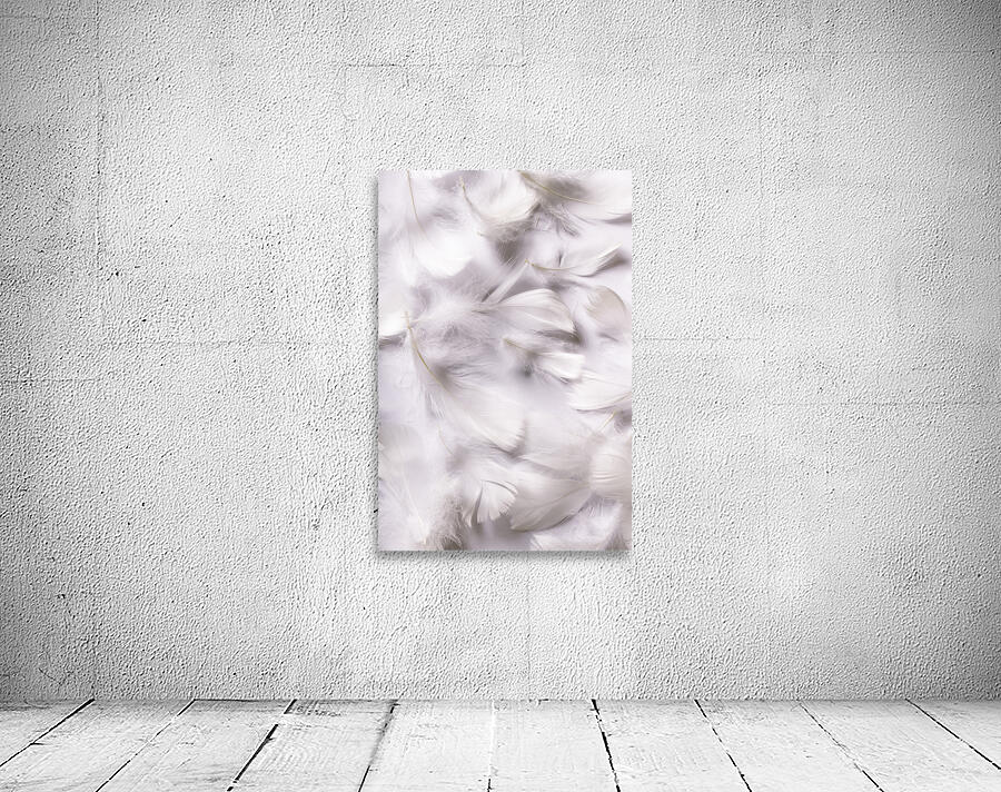 White on white Wall Preview