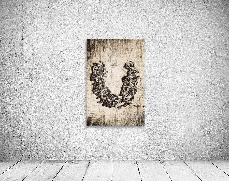 Horse Shoe U Wall Preview