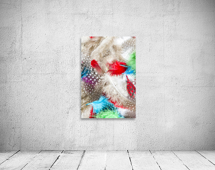 In quill colors Wall Preview