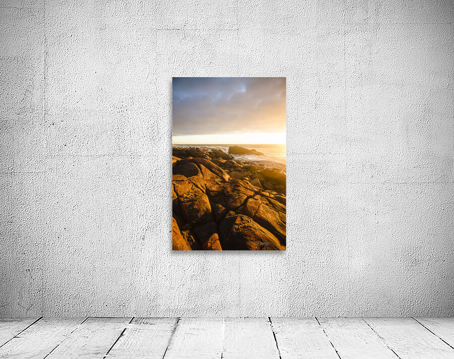 Golden Tasmania coastline Wall Preview