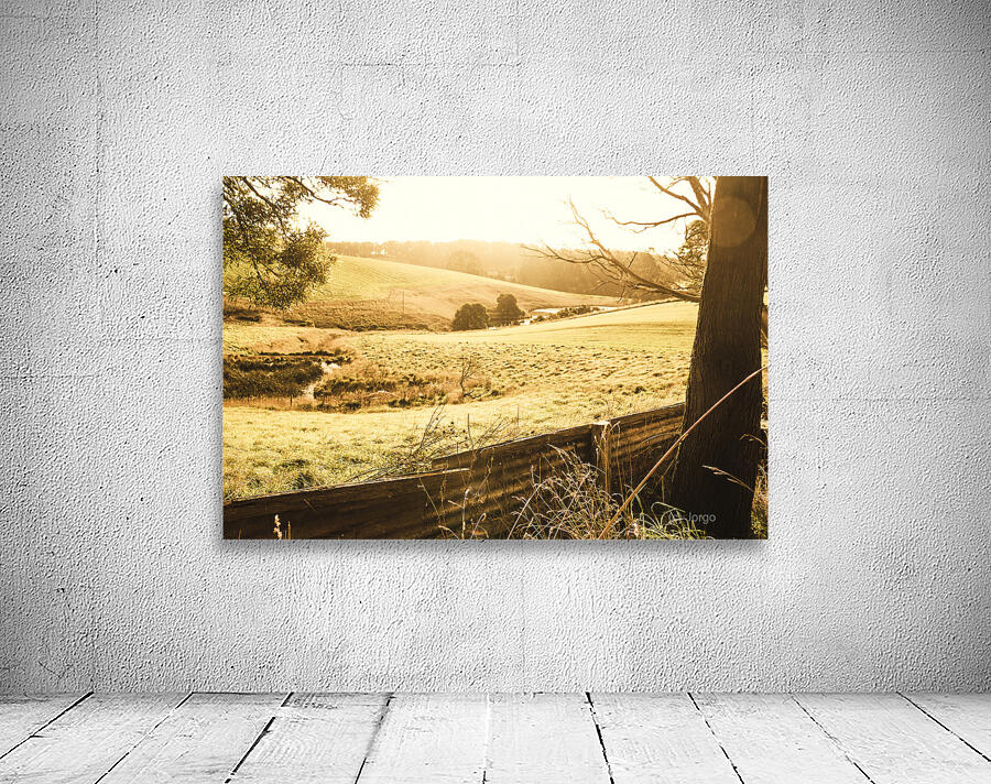 Sun drenched country Wall Preview