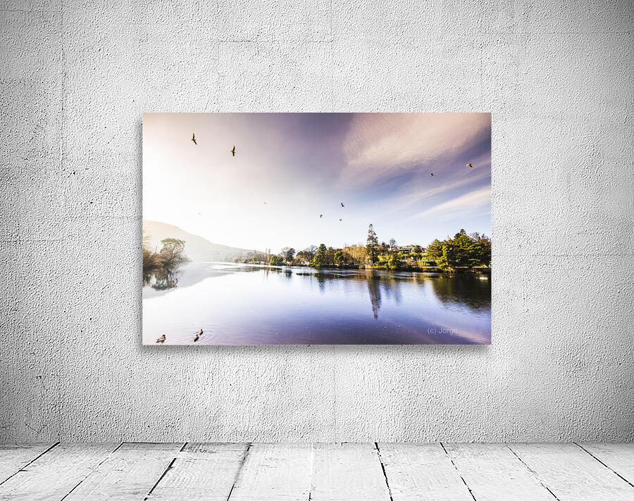 Derwent River reflections Wall Preview