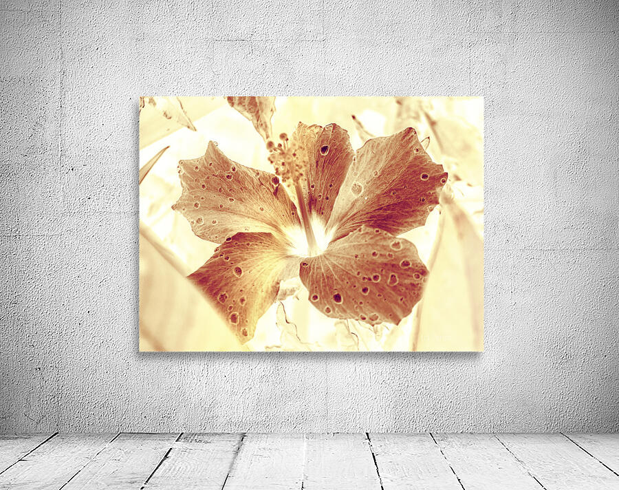 Hi-biscus Wall Preview