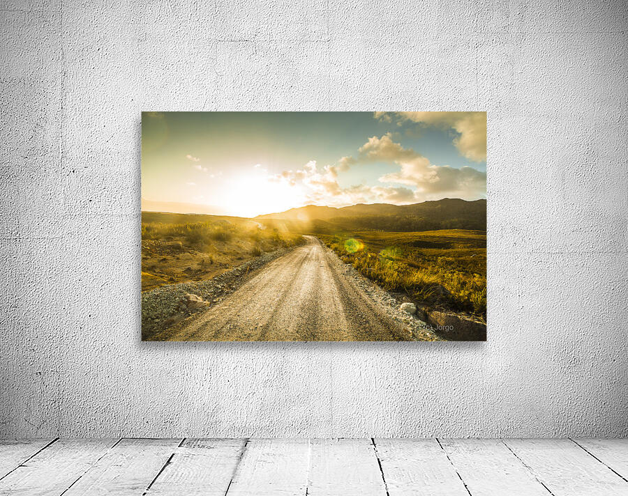 Trail to Trial Wall Preview