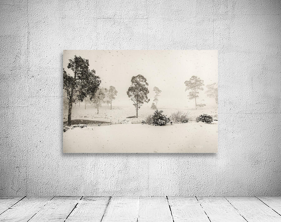 White washed Wall Preview