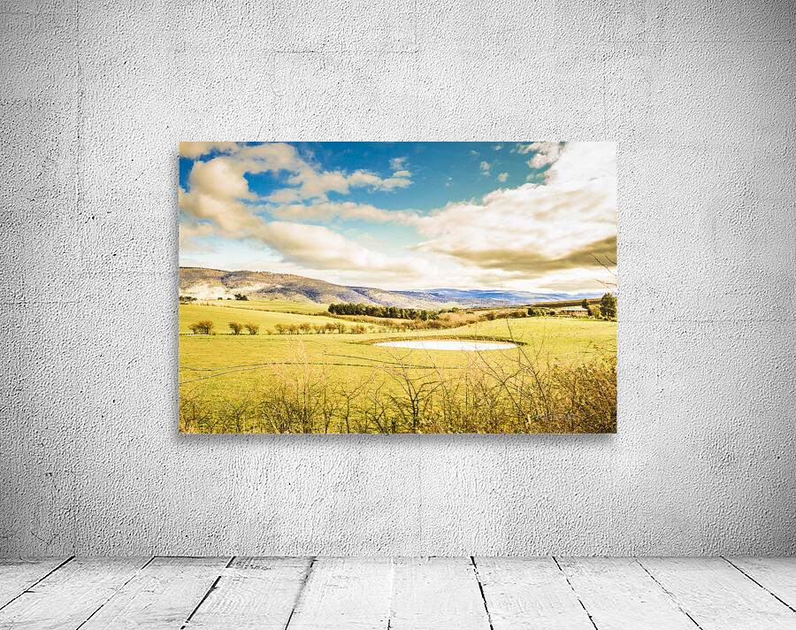 Fields of Plenty Wall Preview