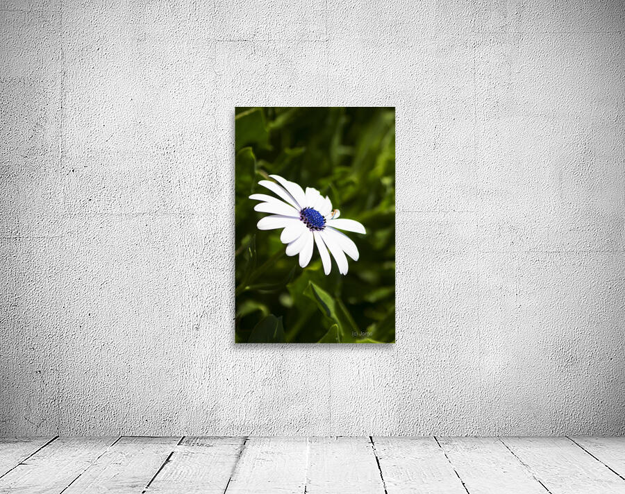 Blossoming Harmony Wall Preview