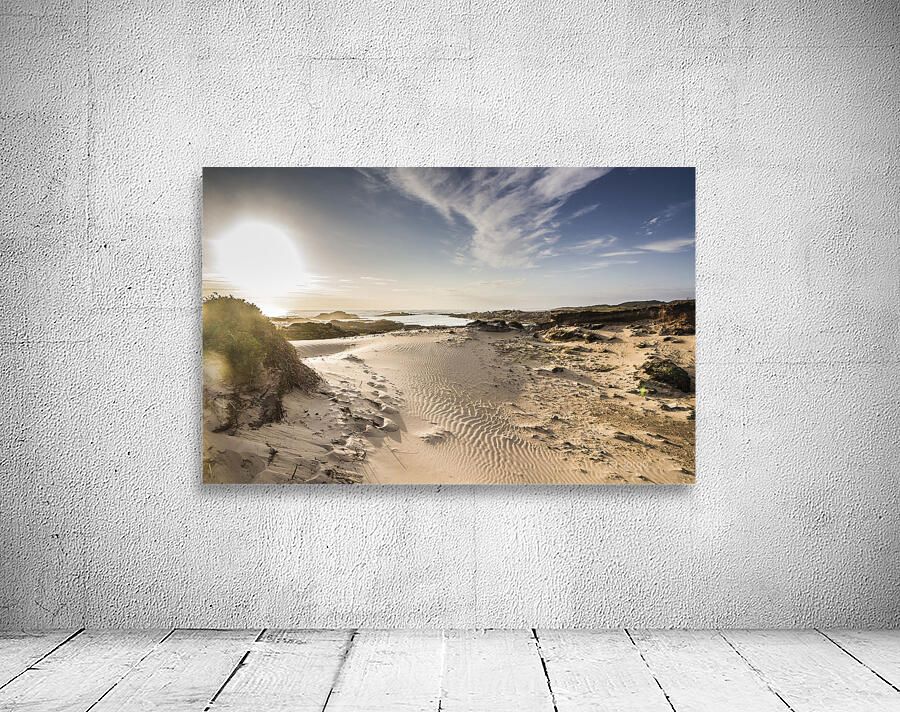 Summer oasis Wall Preview