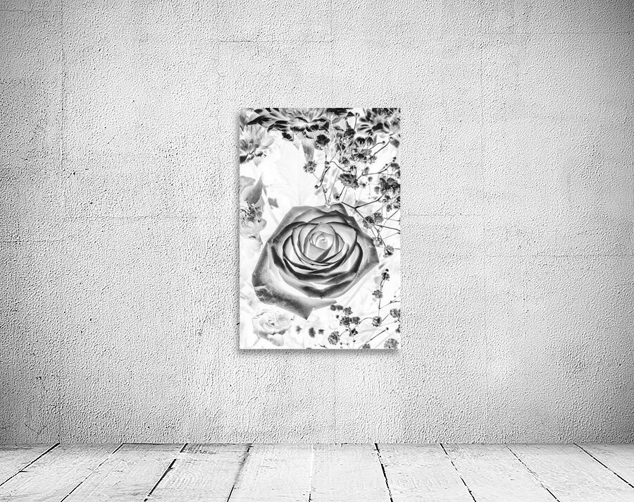 Harmonics inverted Wall Preview