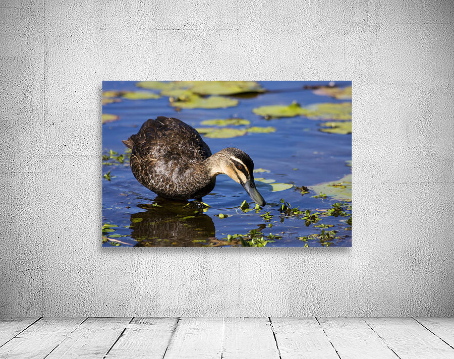 Duck Hunt Wall Preview