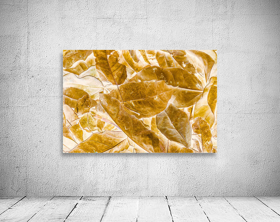 Seasonal gold Wall Preview