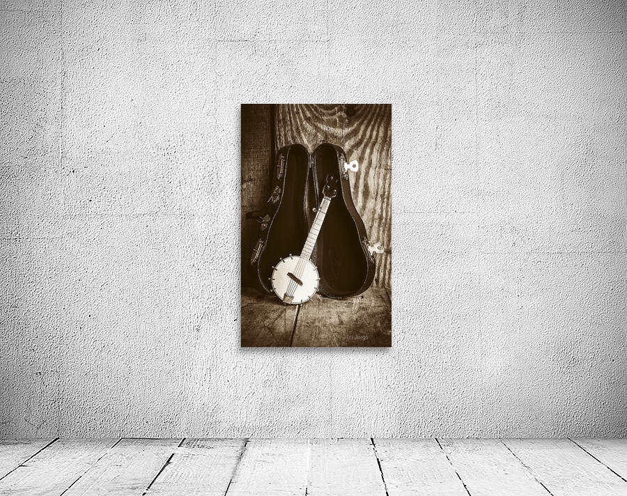 The banjo barn Wall Preview