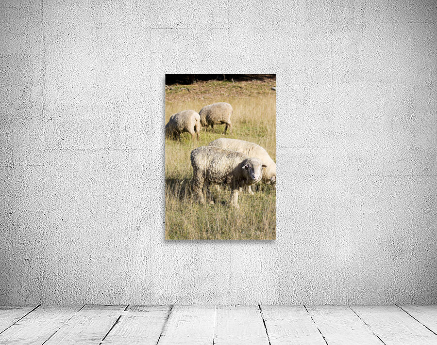 Farmyard Scene Wall Preview