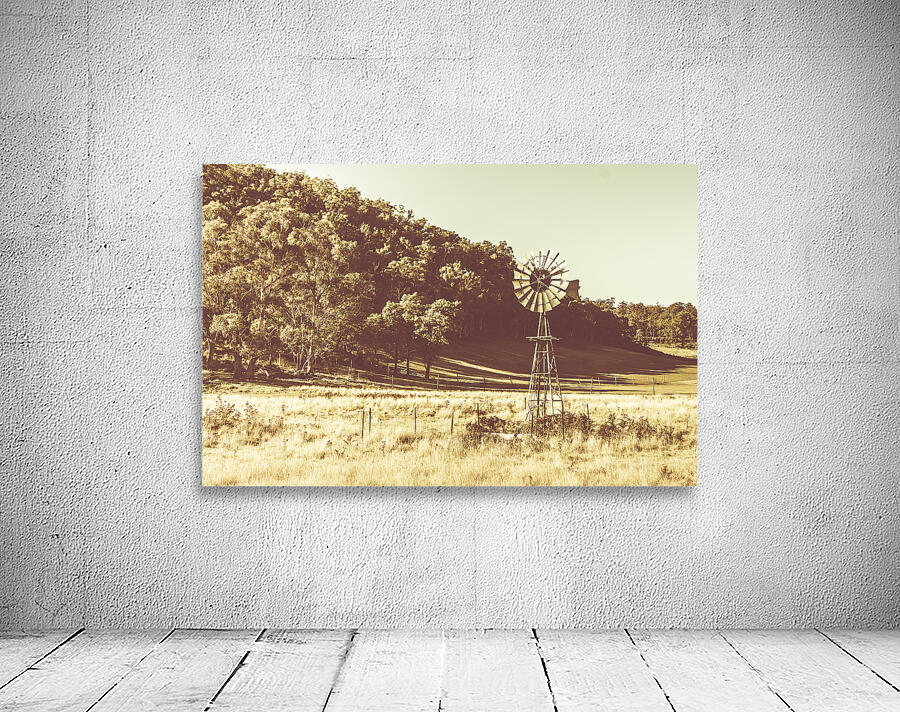 Mathinna farmyard field Wall Preview