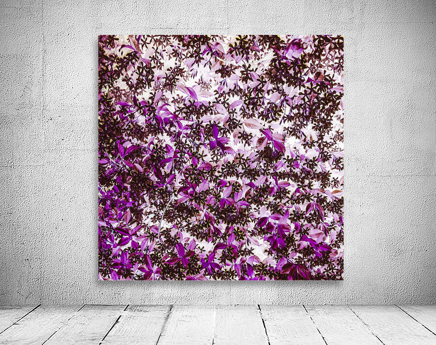 Canopies light Wall Preview