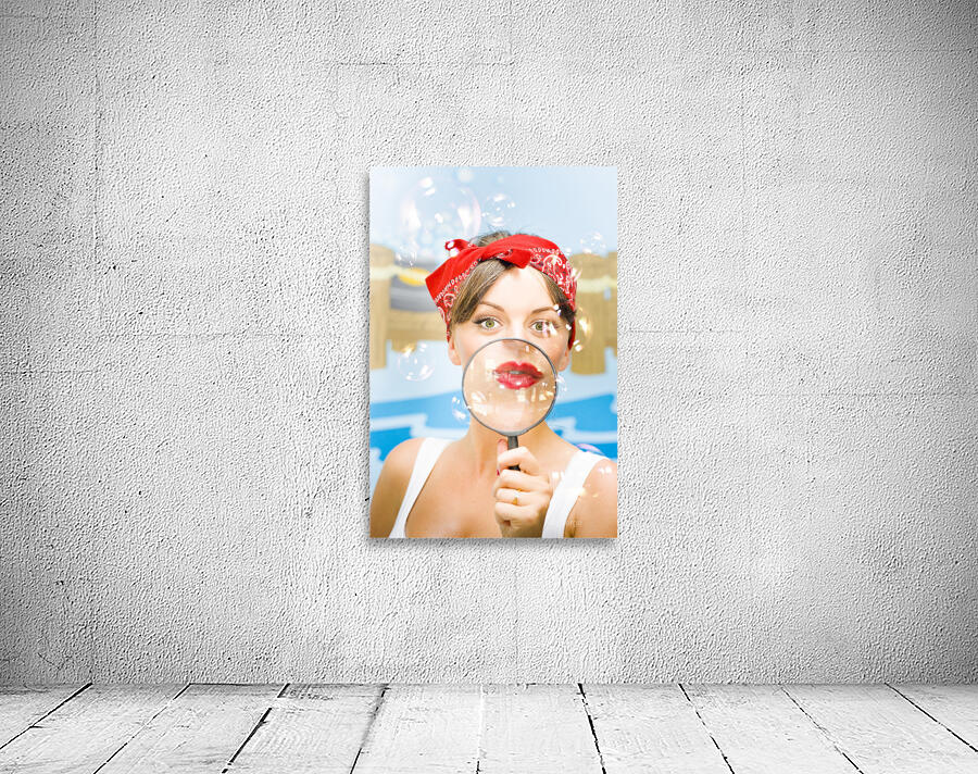 Clean House Inspector Wall Preview