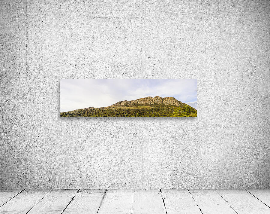 Mount Farrell Regional Reserve in Western Tasmania Wall Preview