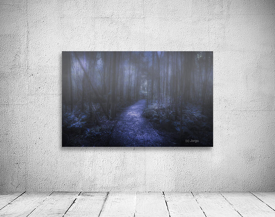 Mystery pathway Wall Preview