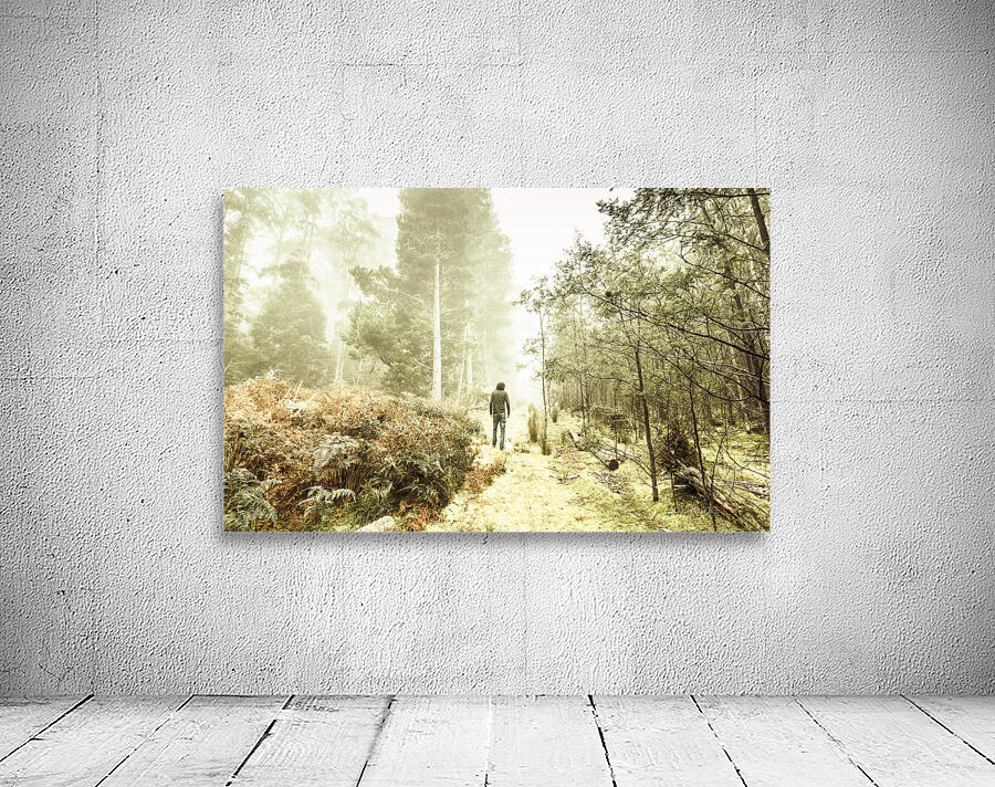 Mysterious trail Wall Preview