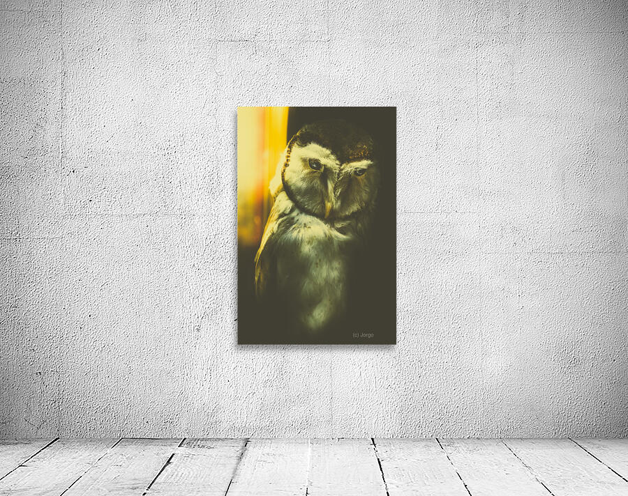 Night owl Wall Preview