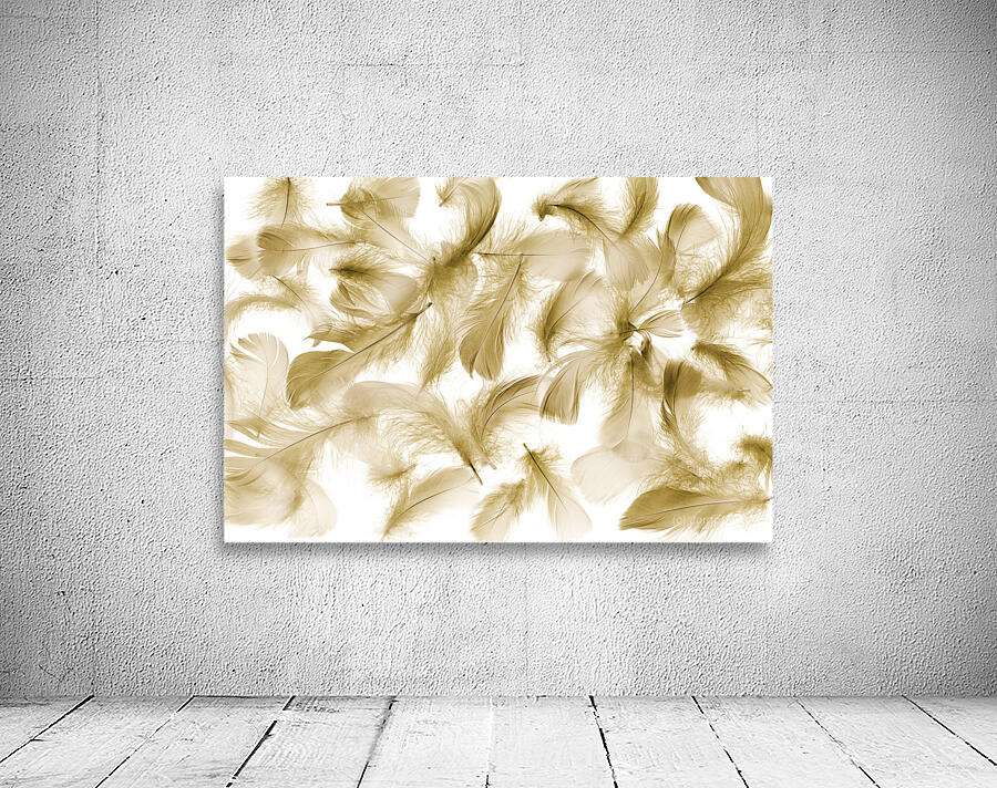 Beige buoyancy Wall Preview