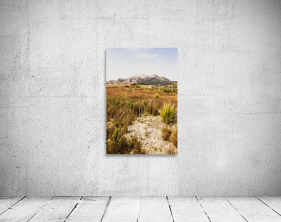 Rugged Australian bushland Wall Preview