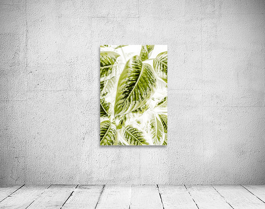 Jungle greens Wall Preview