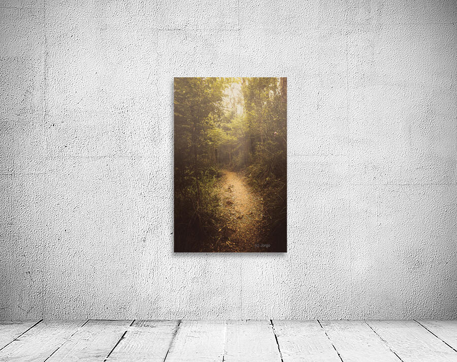 Trailing mystery Wall Preview