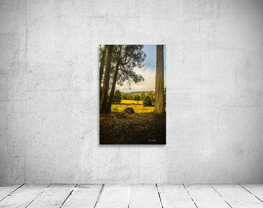 Forest tree vista Wall Preview