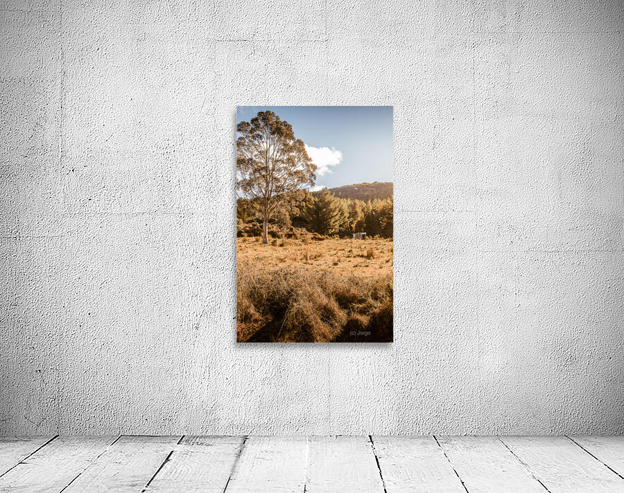 Scene from the outback Wall Preview