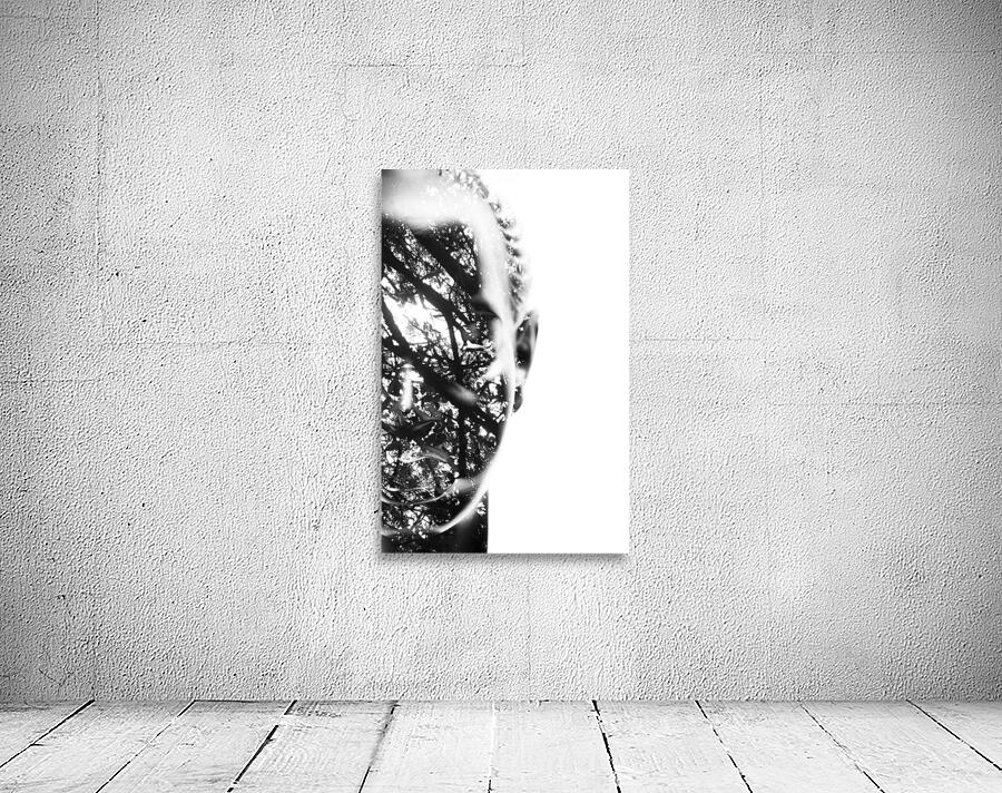 In Vision Wall Preview