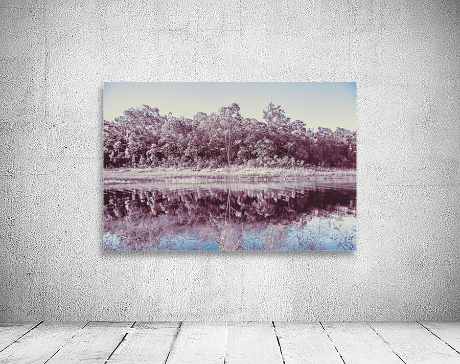 Wild Frost Wall Preview