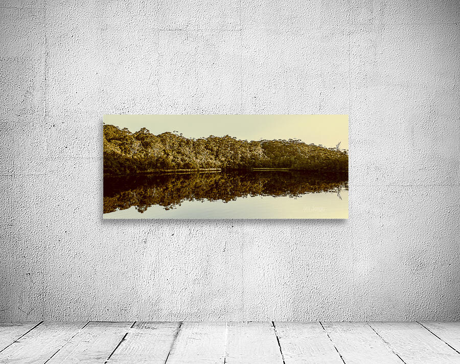 Reflections from Cockle Creek  Wall Preview